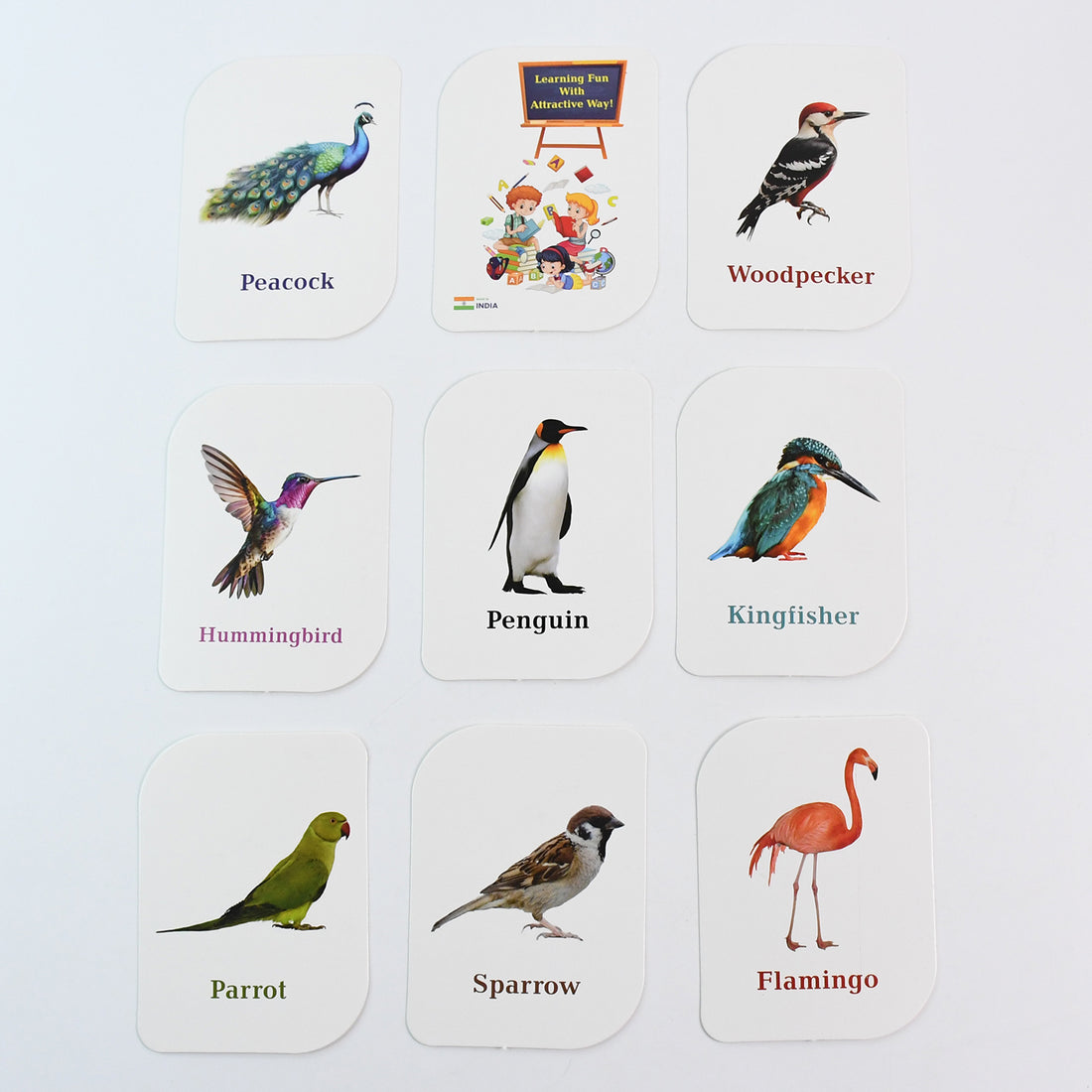 Kidkraft Early Learner Educational Flashcards  32 Birds